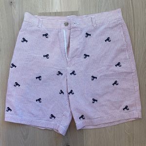 Men’s j crew critter seersucker shorts sz 34